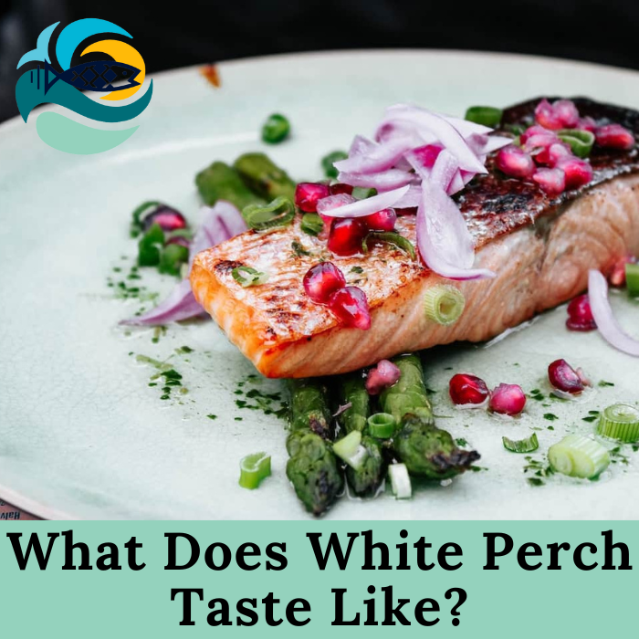 What Does White Perch Taste Like?