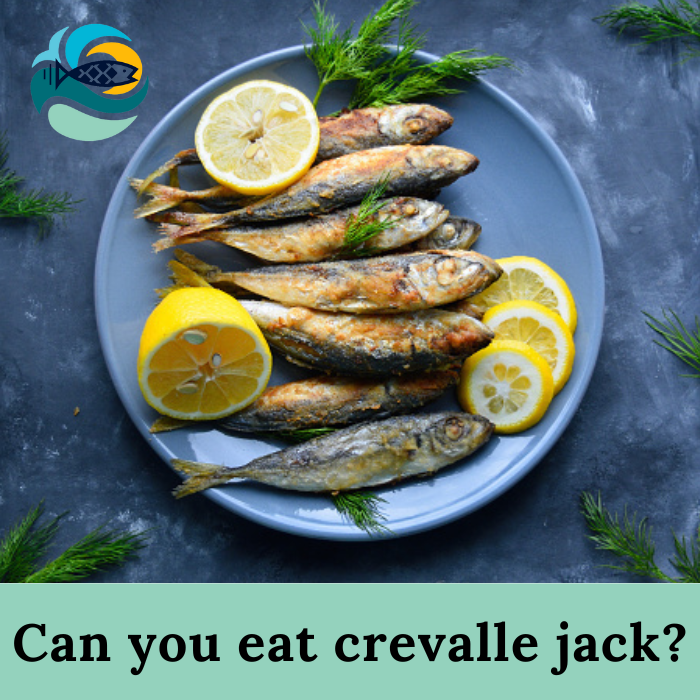 Is jackfish good to eat?