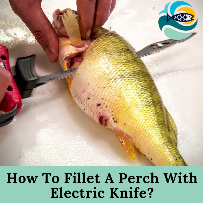 How To Fillet A Perch With Electric Knife?
