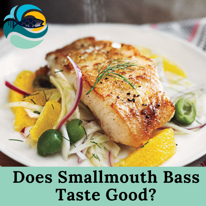 Does Smallmouth Bass Taste Good?