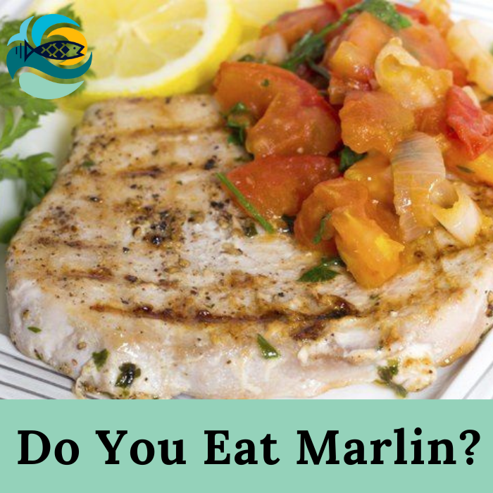 Do You Eat Marlin?