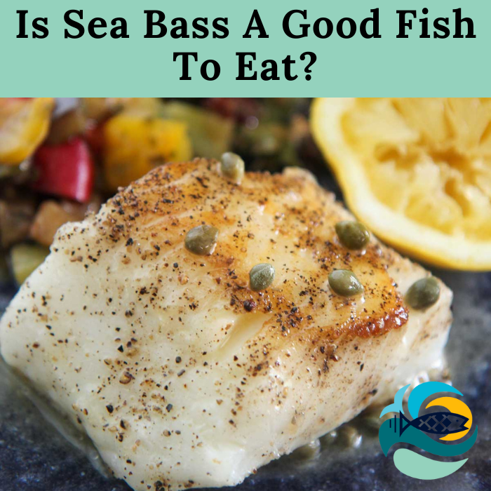 Is Sea Bass A Good Fish To Eat?
