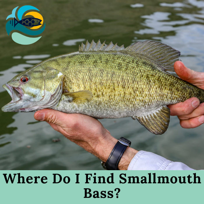 Where Do I Find Smallmouth Bass?